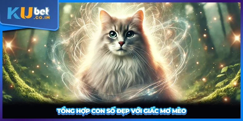 Tổng hợp con số đẹp với giấc mơ mèo